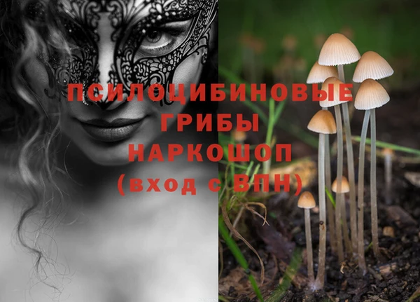 дурь Сафоново