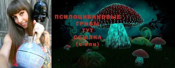 гидропоника Сатка