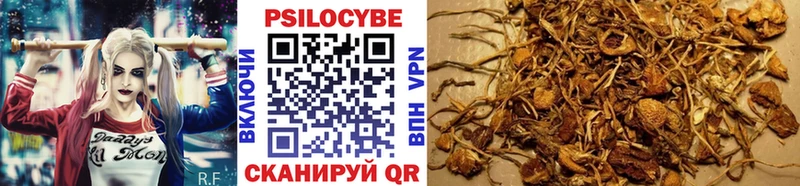 Галлюциногенные грибы Magic Shrooms  где найти   ОМГ ОМГ сайт  Альметьевск 