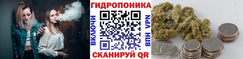 Бошки марихуана план  Альметьевск 